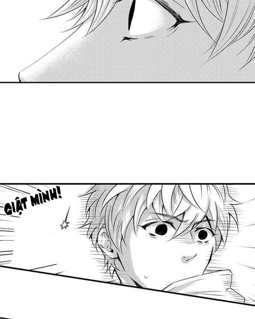 trêu ghẹo "gấu" nhà tôi! chapter 45 28