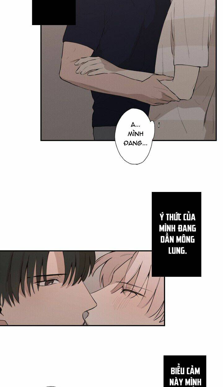 trốn tìm chapter 18 19