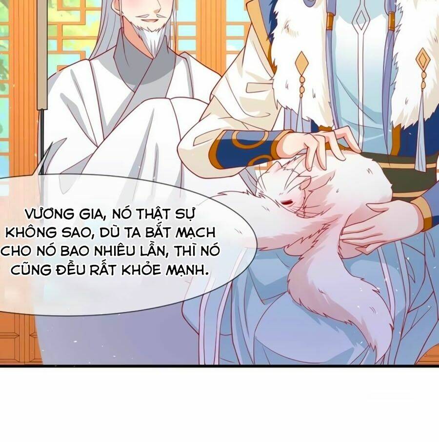 dưỡng thú vi phi chapter 24 10