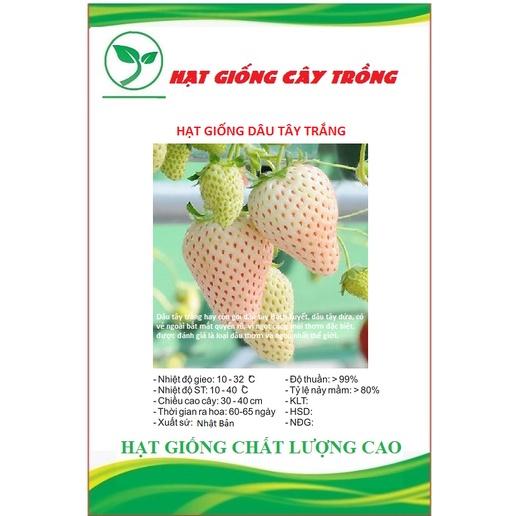 Hạt giống dâu tây trắng CT291 - Gói 100 hạt