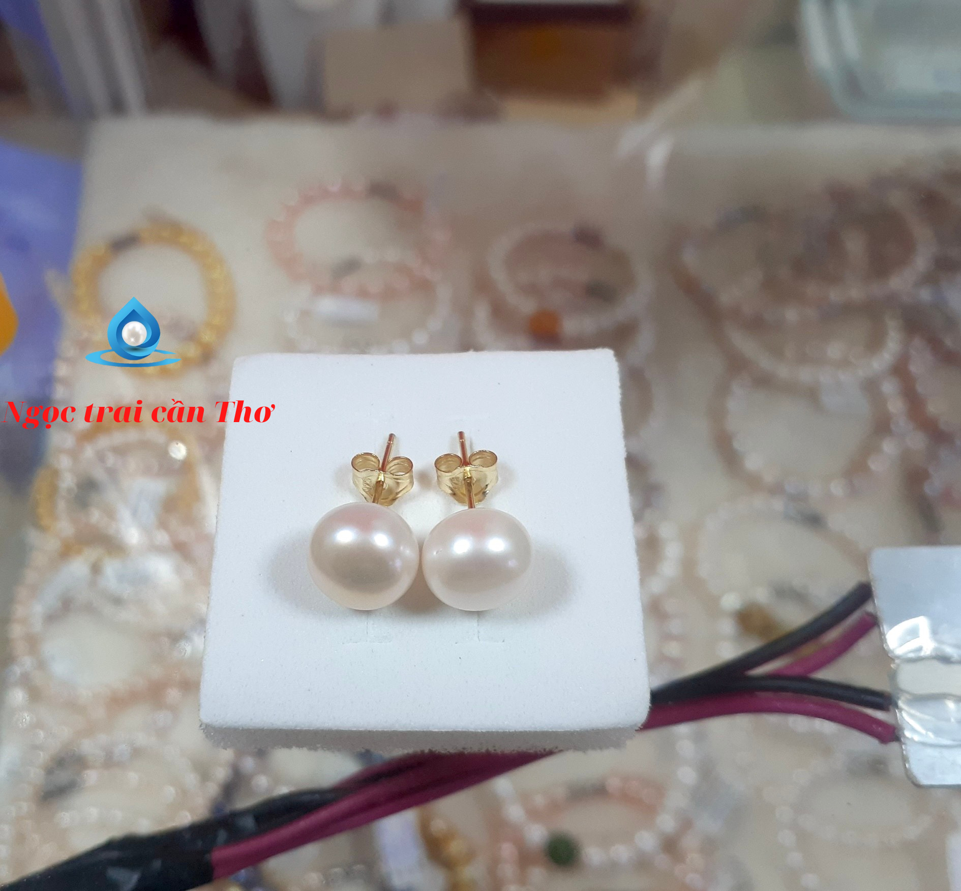 Bông tai nụ ngọc trai cao cấp