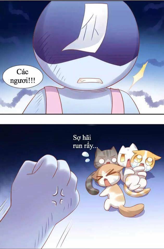 dưới móng vuốt mèo chapter 13 30