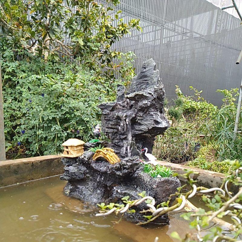 Hòn non bộ có thác nước