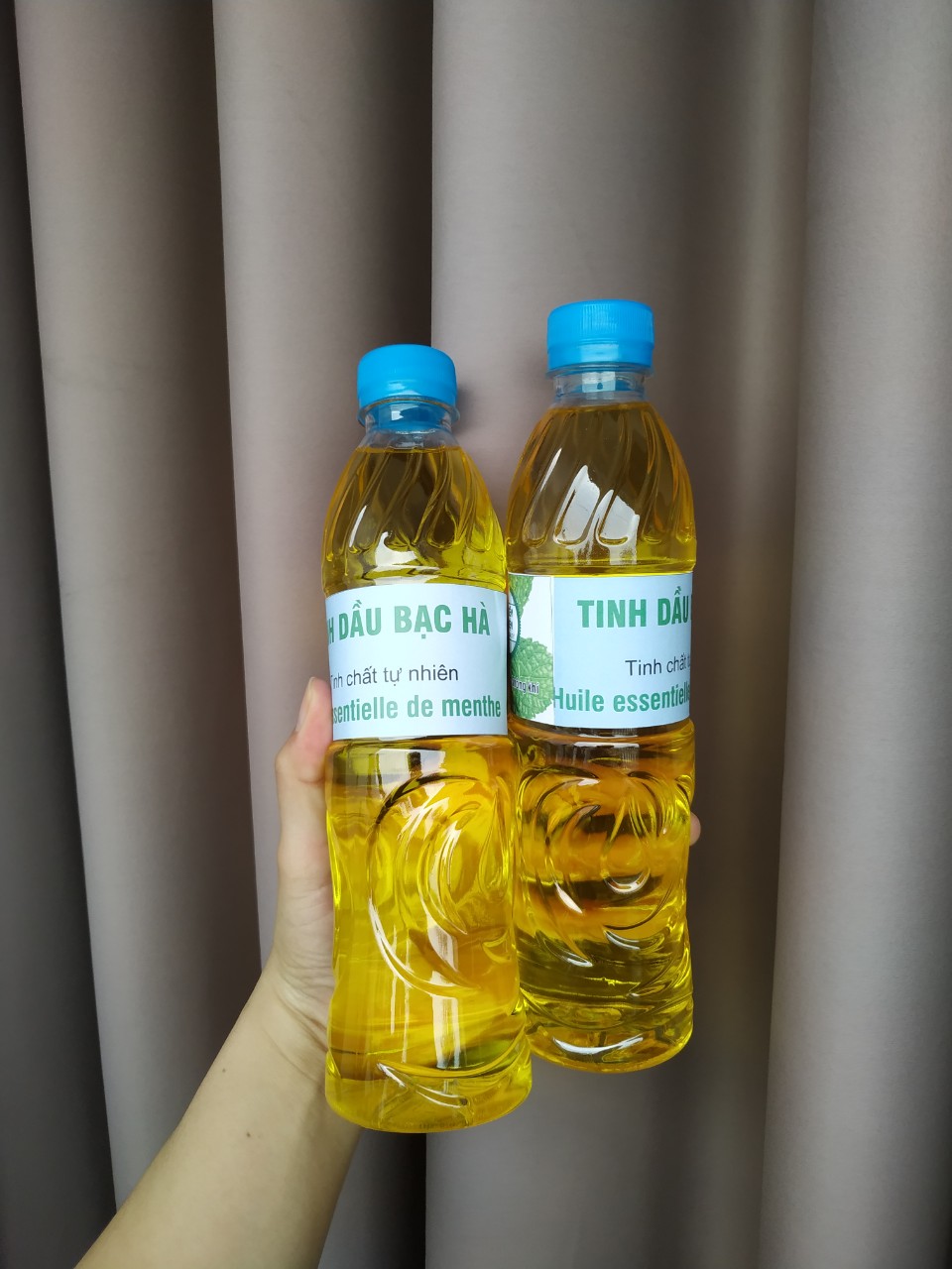 Tinh dầu bạc hà lau nhà, chai 500ml