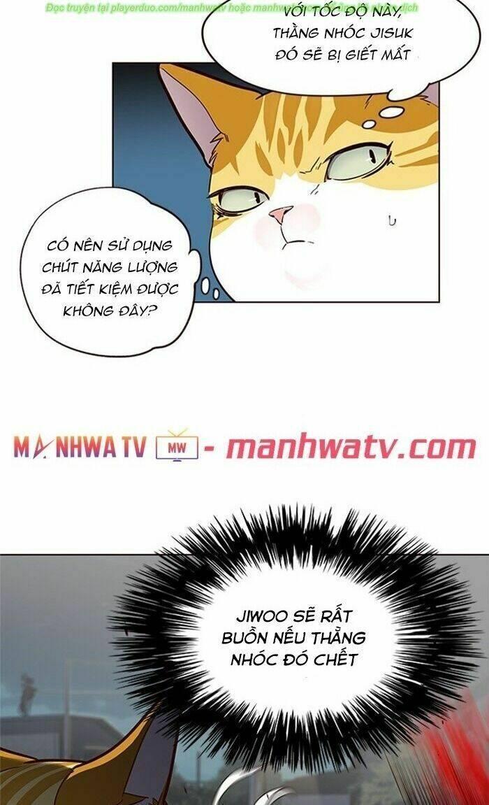 biến thân thành mèo chapter 43 52