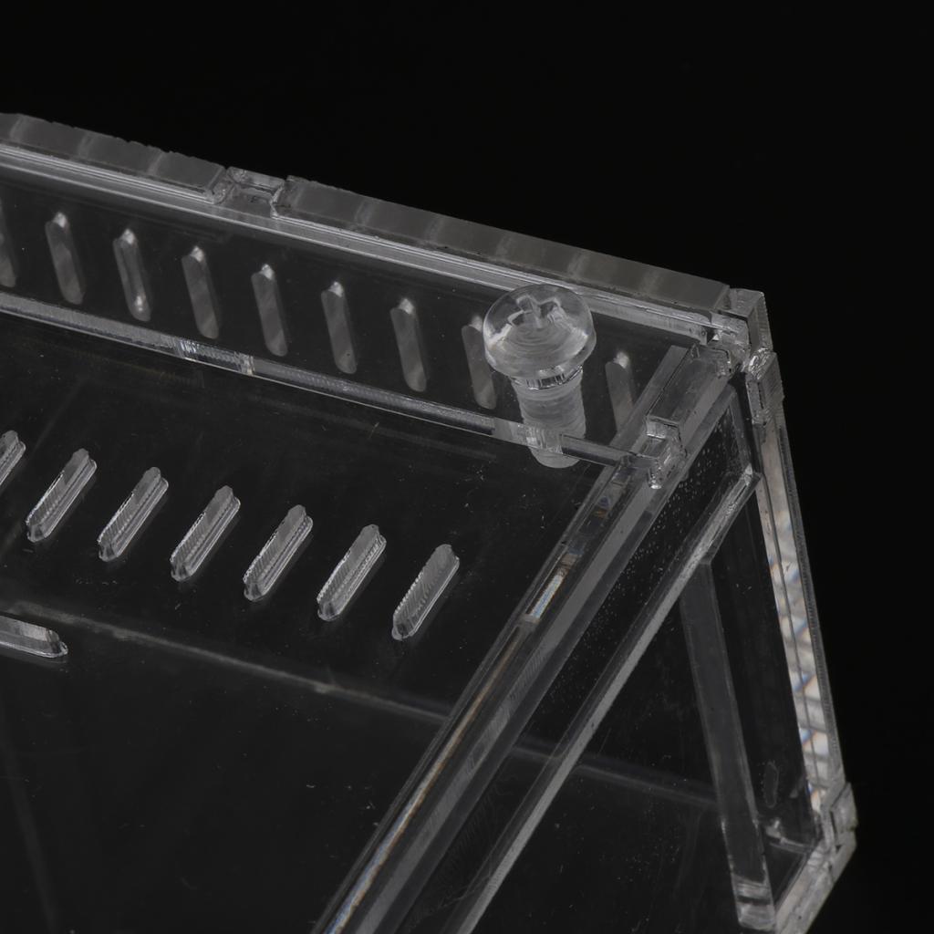 Acrylic Pet Reptiles Worm Breeding Box Clear Cases for Reptile