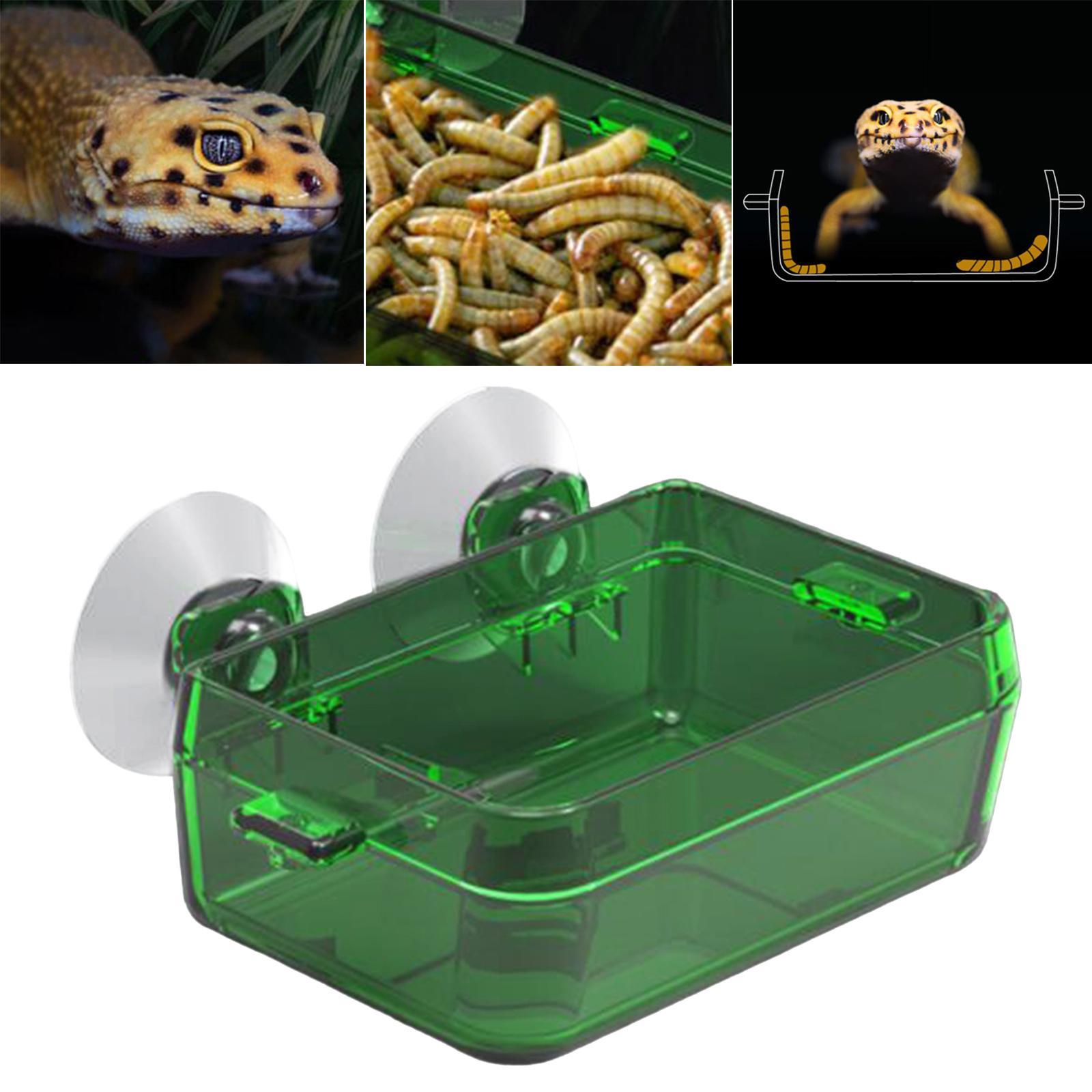 Suction Cup Reptile Feeder Dish Water Food Bowl Basin for Chameleon