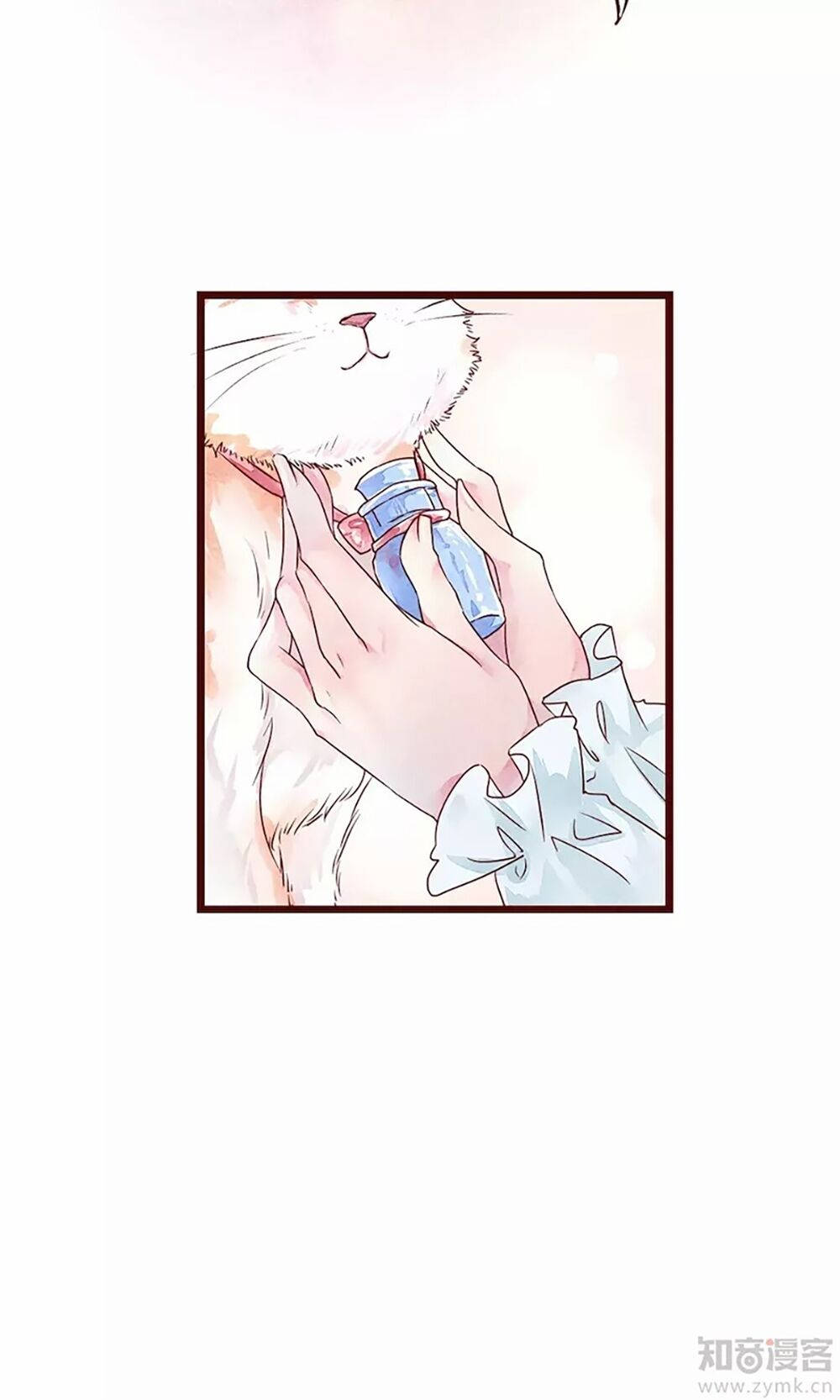 đào tạo nuôi dưỡng bạn trai mèo chapter 2 43