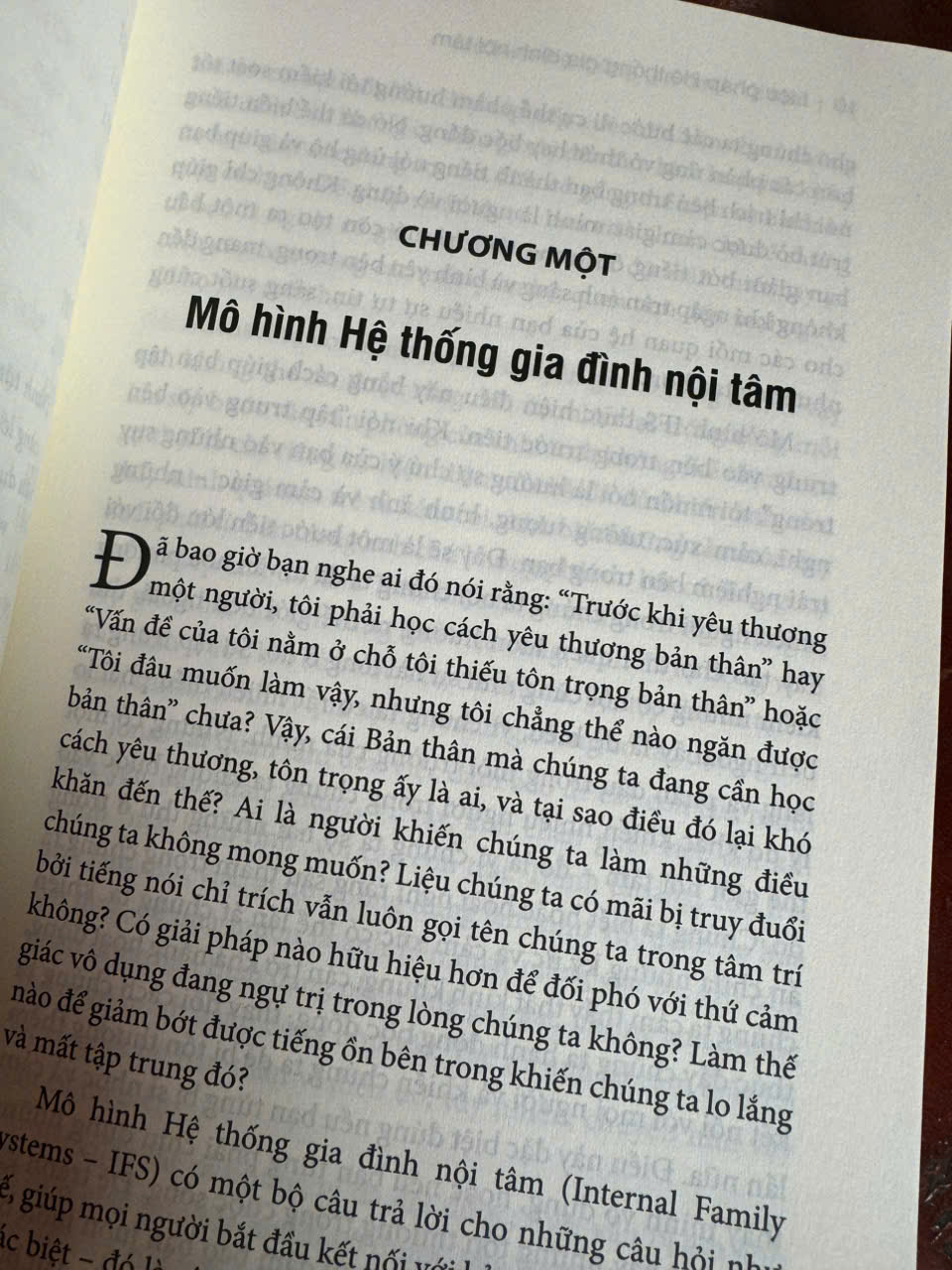 LIỆU PHÁP HỆ THỐNG GIA ĐÌNH NỘI TÂM: Trân Trọng Các Phần Tâm Trí Trong Bạn - Richard C. Schwartz Ph.D – Phi Yến dịch – Thái Hà Books – NXB Thế Giới