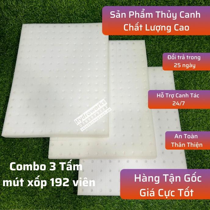 3 Tấm mút xốp ươm hạt 192 viên/Tấm, ươm hạt cây giống trồng rau thủy canh