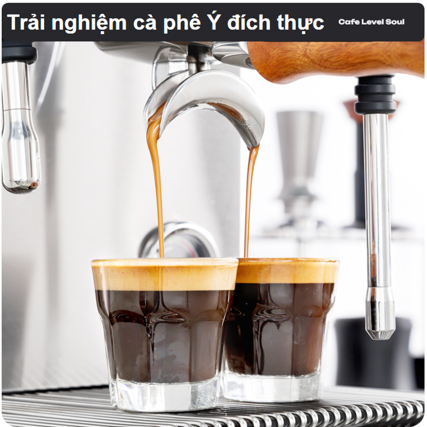 [ Hàng chính hãng] Máy pha cà phê Espresso, Cappuccino, Latte - Dòng chuyên nghiệp. Thương hiệu Mỹ cao cấp HiBREW - H21