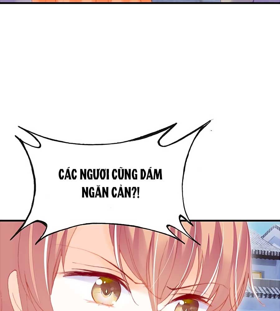 trẫm cũng không muốn quá khí phách chapter 52 43