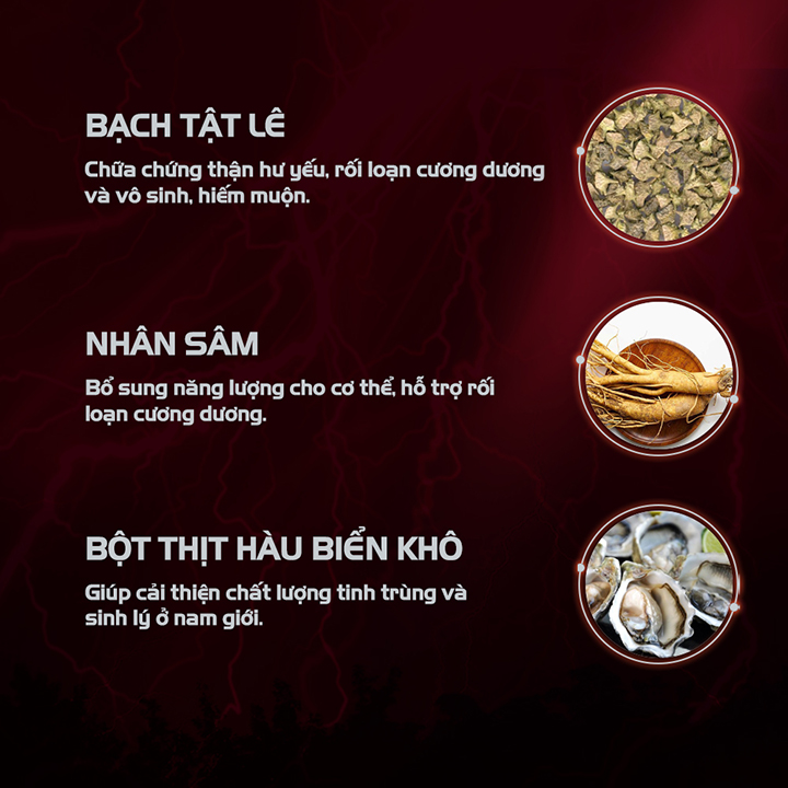 [TĂNG SINH LÝ NAM, BỔ THẬN TRÁNG DƯƠNG] Combo 2 Hộp Khang Thận Đơn Hỗ Trợ Tăng Cường Chức Năng Sinh Lý Nam, Bổ Thận Tráng Dương - 2 Hộp x 40 Viên