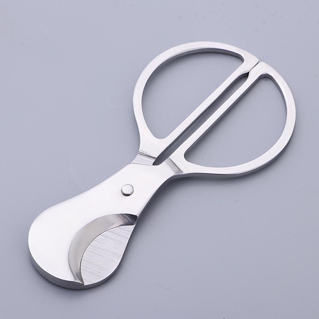 Stainless Steel       Scissors Tools