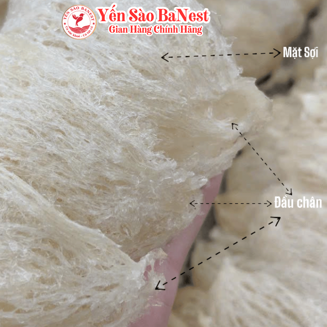 Bộ Quà Tặng 100g Tổ Yến Sào Cao Cấp dành BIẾU TẶNG Người Thân Đối Tác - Yến Sào BaNest