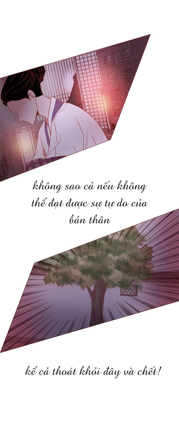 rắn có ăn hoa không? chapter 7 53