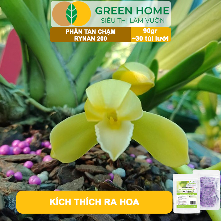 Phân Tan Chậm GreenHome, Rynan 200, Bao 90gr ~ 30 Túi Lưới 3gr, Dành Cho Giai Đoạn Phong Lan Cây Con