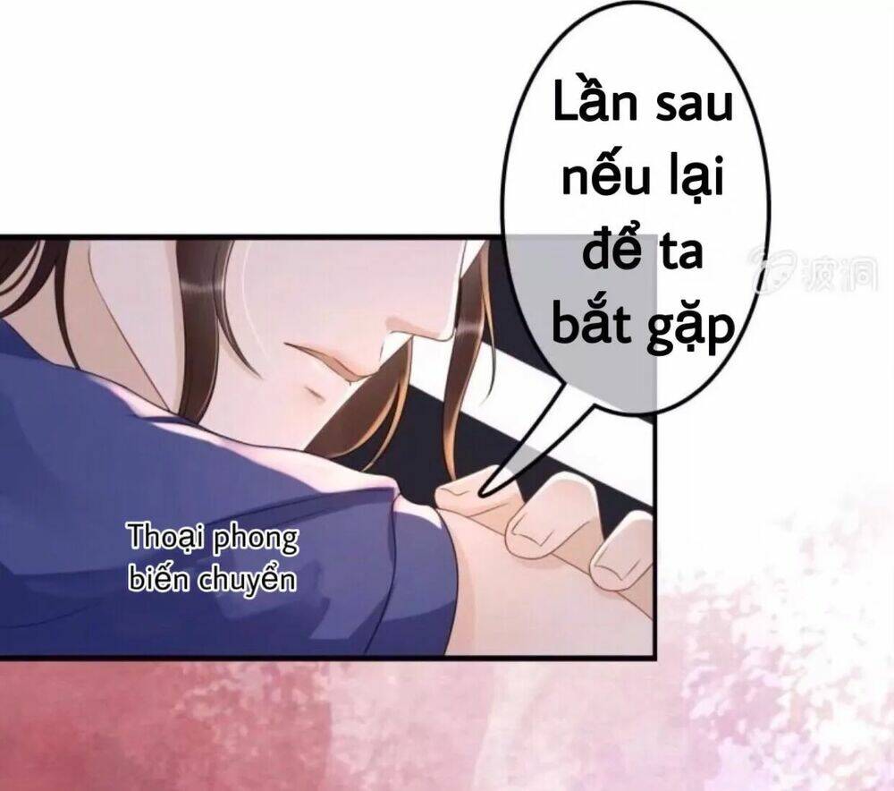 sủng phi của vương chapter 79 12