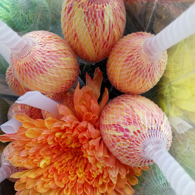 Nước Màu Nhuộm Hoa Tươi Màu Cam Israel Color Sodium For Fresh Flowers
