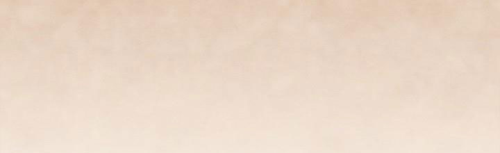 em ấy muốn trở thành chồng của tôi chapter 33.1 342