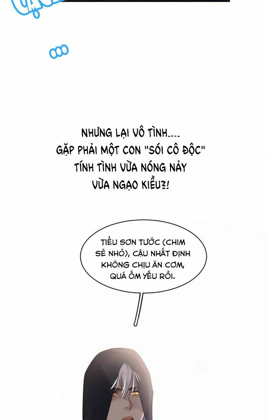 dù là sói cô độc cũng có tình yêu của sẻ nhỏ chapter 0 7