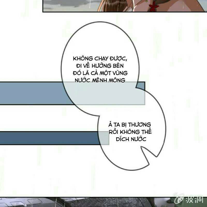 sủng phi của vương chapter 170 29