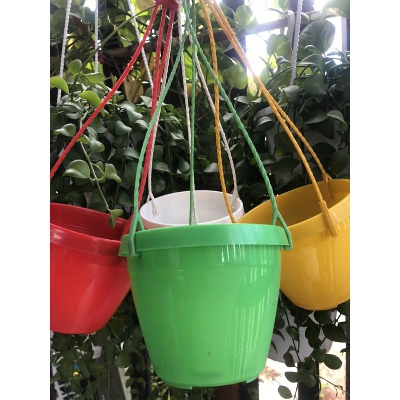 Chậu mini 10 chậu kèm dây treo màu đỏ