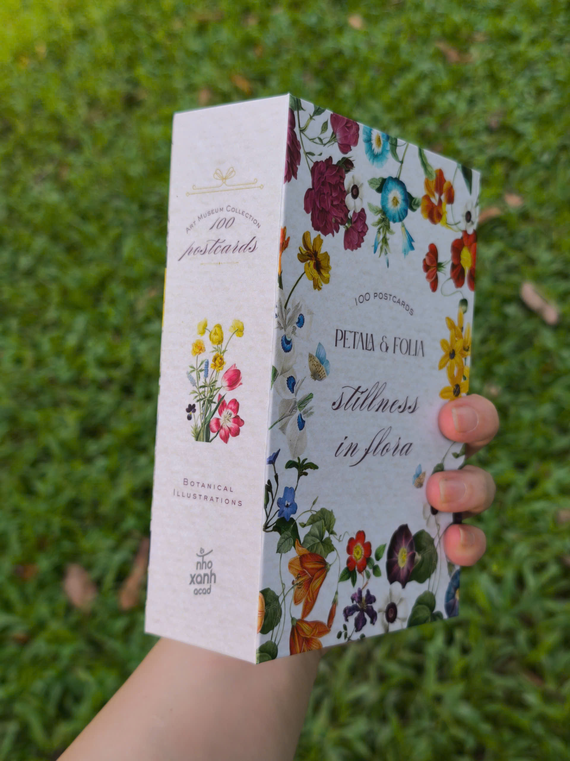 BỘ 100 POSTCARD PETALA & FOLIA - Minh Họa Thực Vật Nghệ Thuật - Giấy Mỹ Thuật 300g Cao Cấp - Nho Xanh