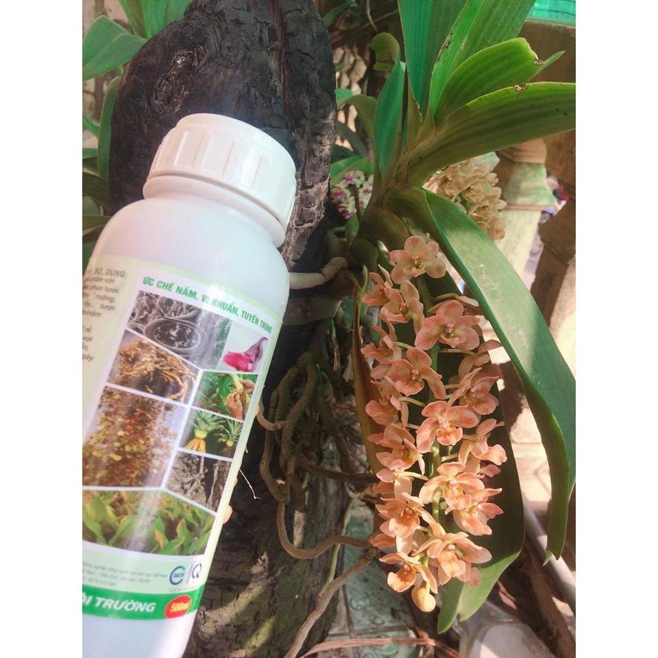 NẤM ĐỐI KHÁNG TRICHODERMA BACILLUS HLC CHAI 250ML - Ủ PHÂN CHUỒNG, TƯỚI CÂY, ĐỐI KHÁNG NẤM BỆNH, CẢI TẠO ĐẤT