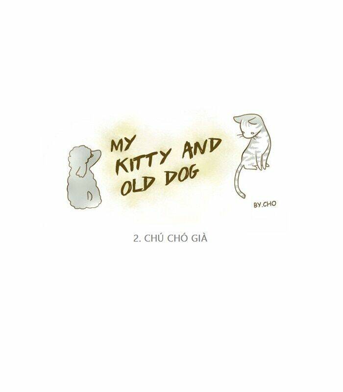 my kitty and old dog chapter 2 1