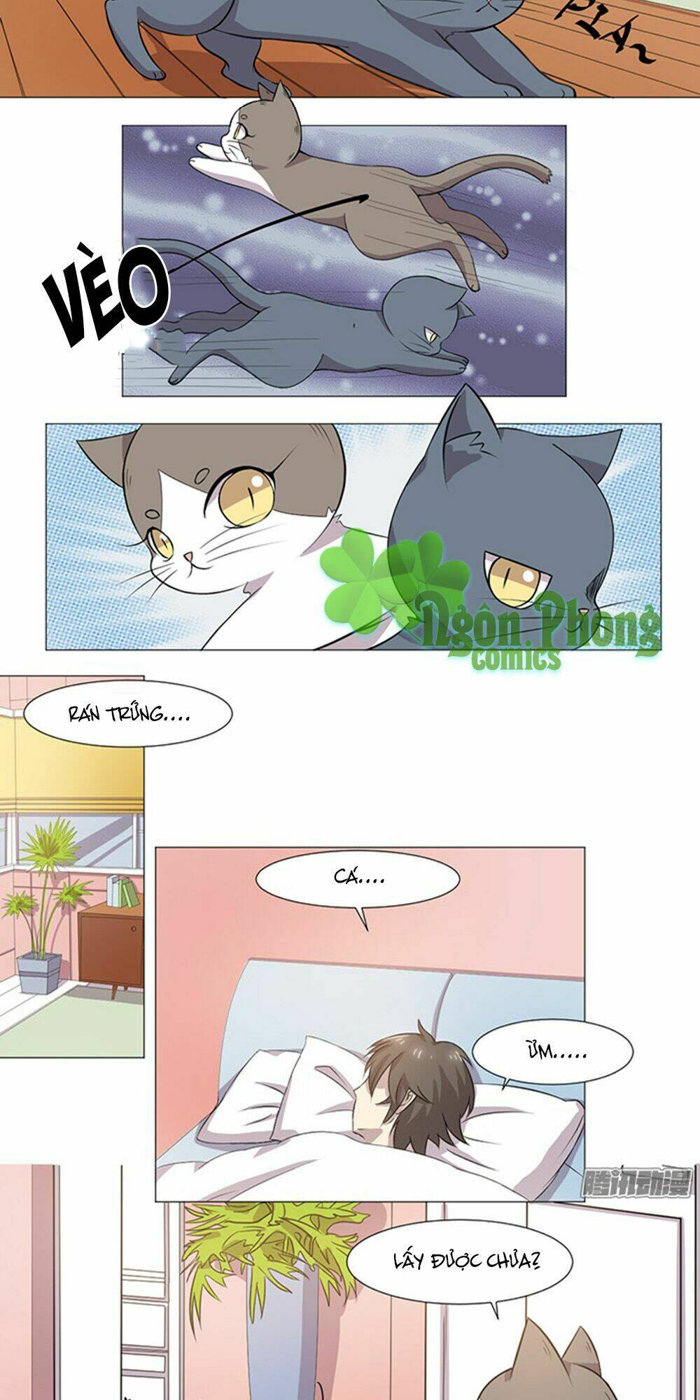 hai chú mèo totem chapter 35 3