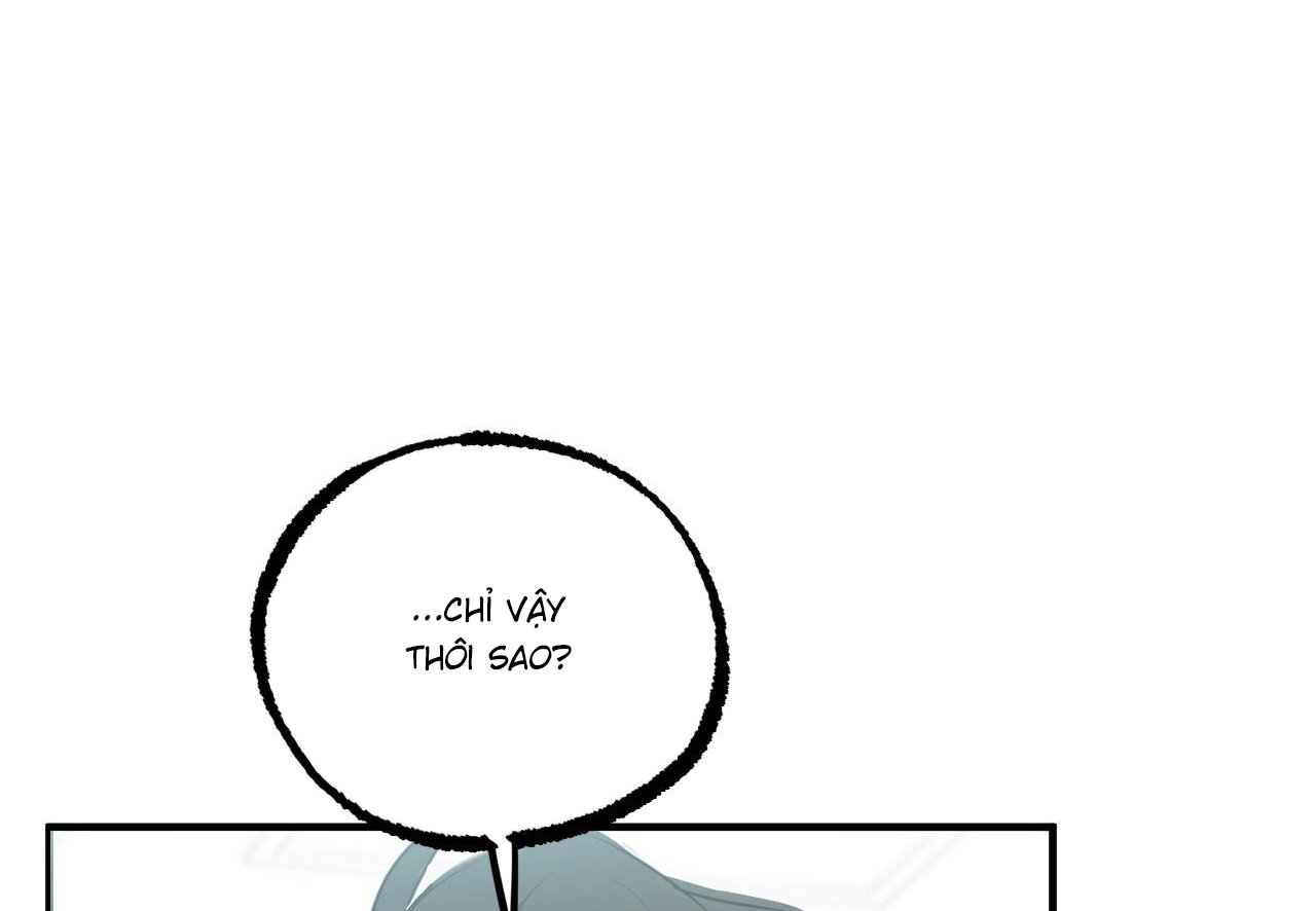 những chú thỏ của hapypy chapter 60 225