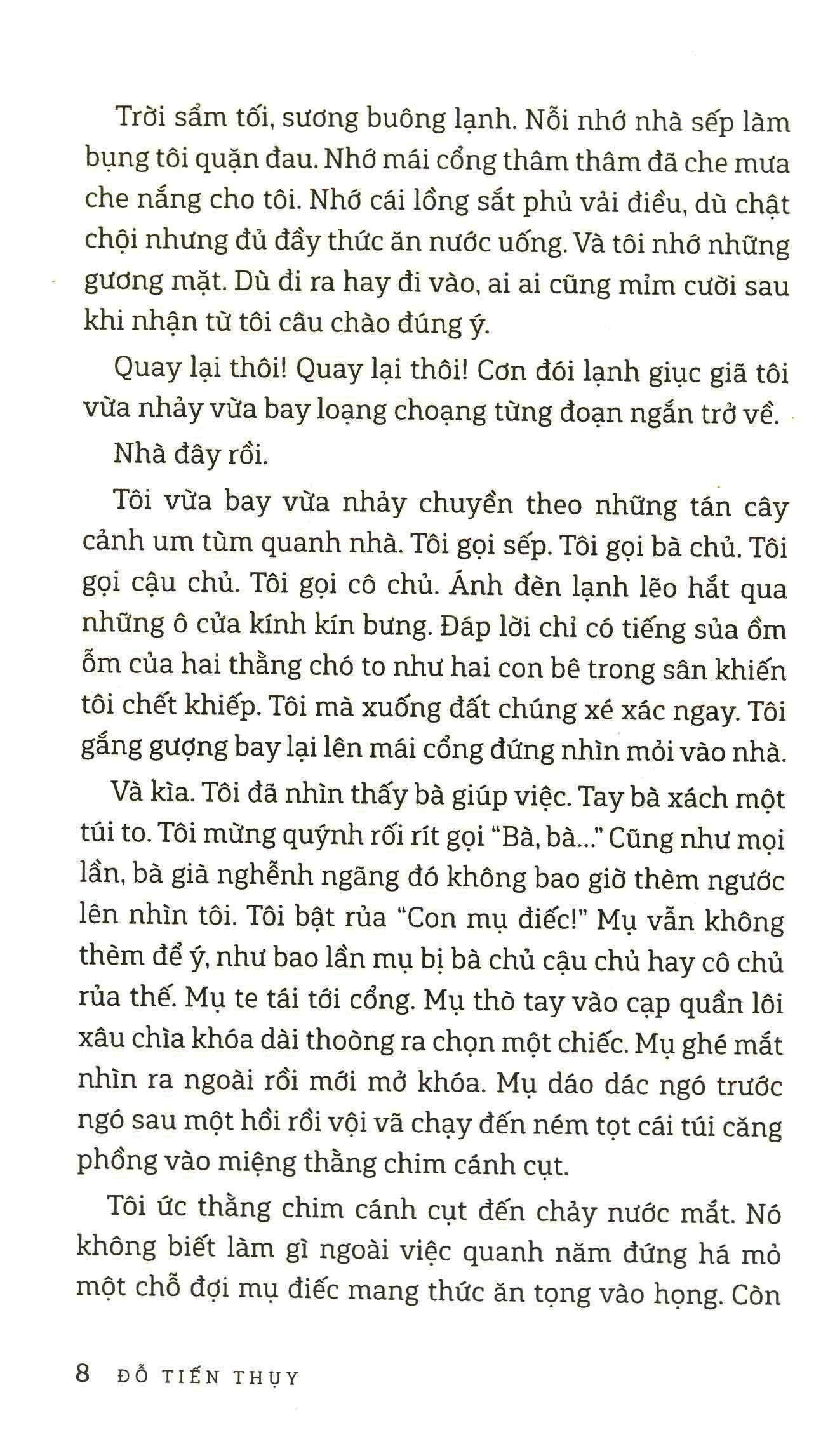 Sách Con Chim Joong Bay Từ A Đến Z
