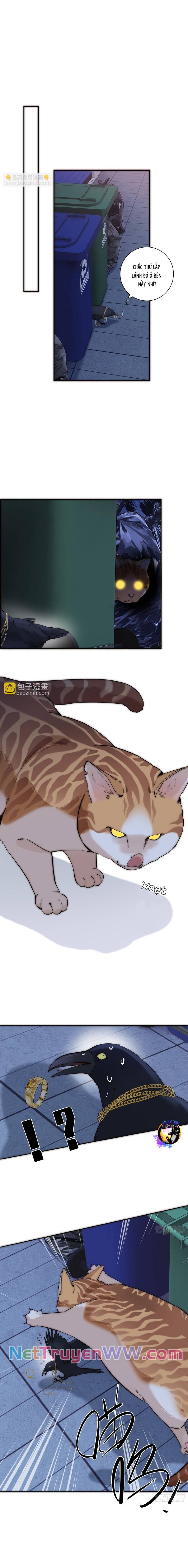 ân nhân của tôi không phải học giả chapter 37 3