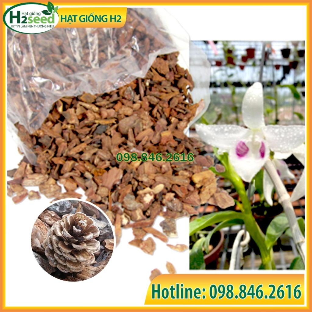 Gói 1kg Vỏ thông mài cạnh đều đẹp nhiều kích cỡ dùng trồng hoa lan - Hạt giống H2 Seeds