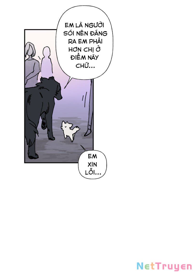 lumine - cội nguồn ánh sáng chapter 82 11