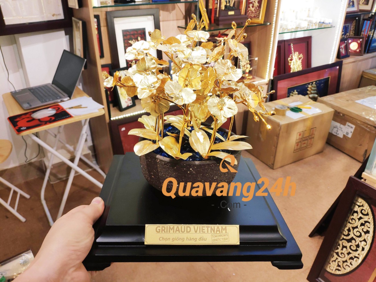 Chậu hoa lan 12 nhánh MT Gold Art- Hàng chính hãng đồ trang trí nội thất, phòng làm việc, quà tặng sếp, khách hàng, đối tác