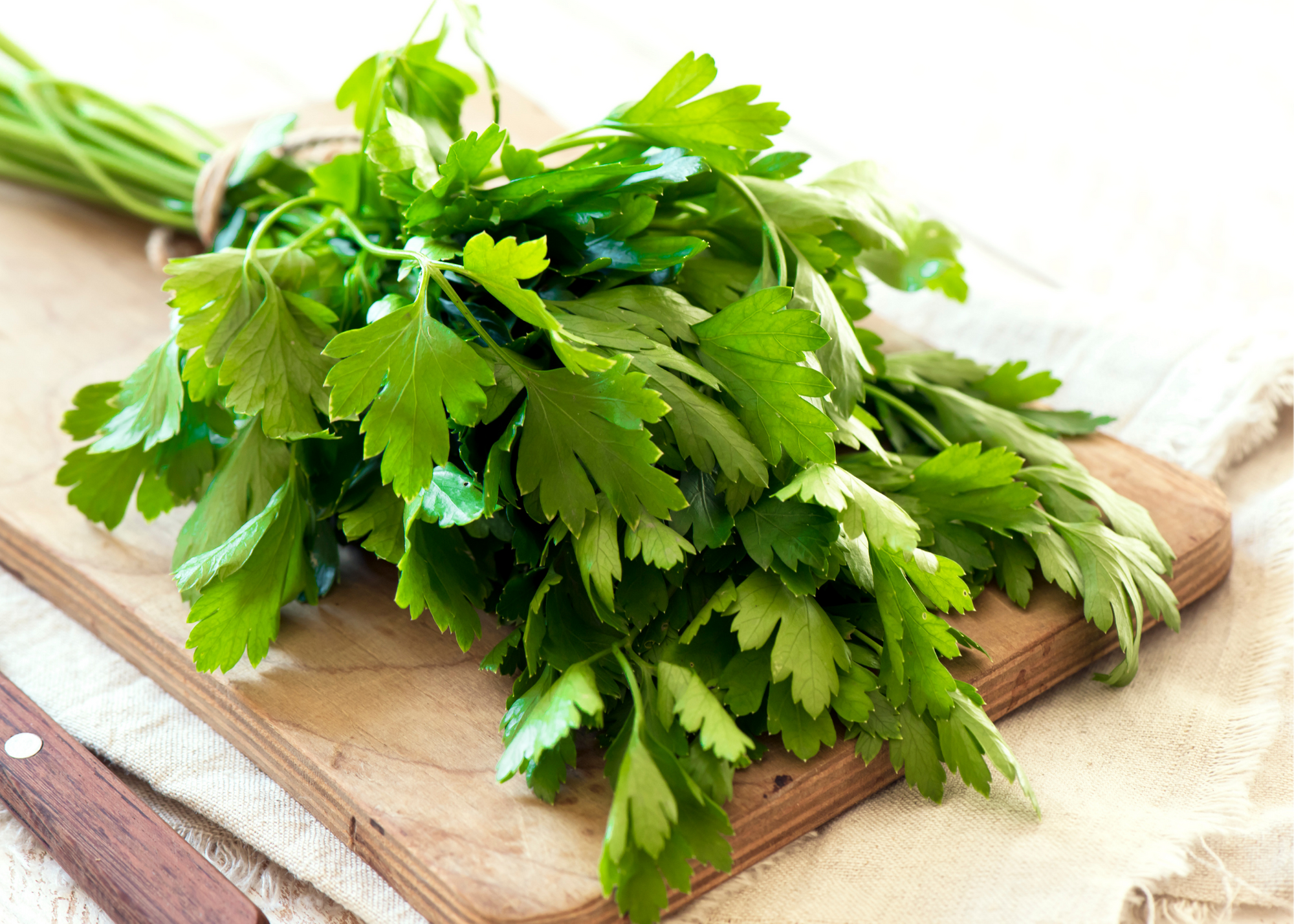 Lá Mùi Tây Khô Nghiền - Parsley Rubbed 500 Gram [ Nhập Khẩu Đức ]