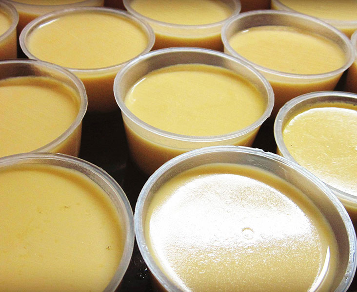 Combo 50 Khuôn (Không Nắp) Làm Bánh FLan, Rau Câu, Làm Nước Đá Dùng Được Lò Vi Sóng