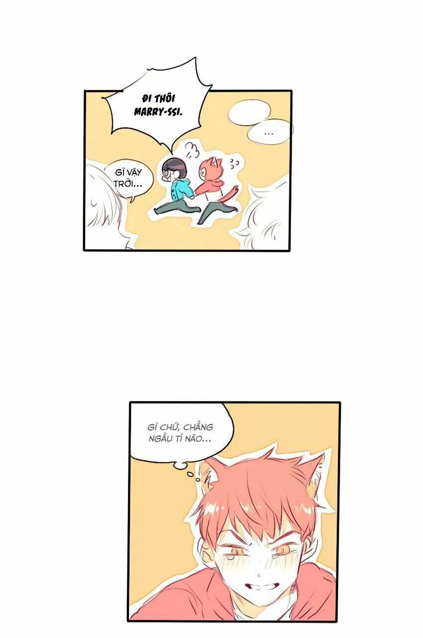 cưới, tôi ư? chapter 29 23