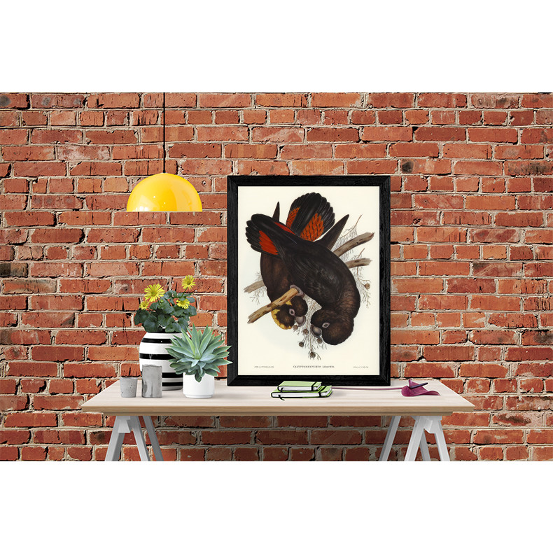 Tranh Canvas  Động vật Chim Vẹt  cao cấp. , Khung hợp nhôm chống ẩm, bền, đẹp, nhiều kích thước. Phù hợp nhiều không gian sang trọng.
