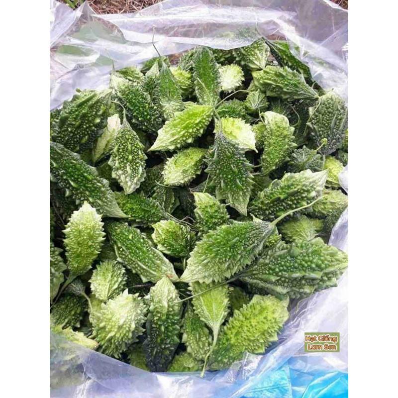 HẠT GIỐNG KHỔ QUA RỪNG F1 - Loại Quả Thanh Nhiệt, Dễ Trồng.