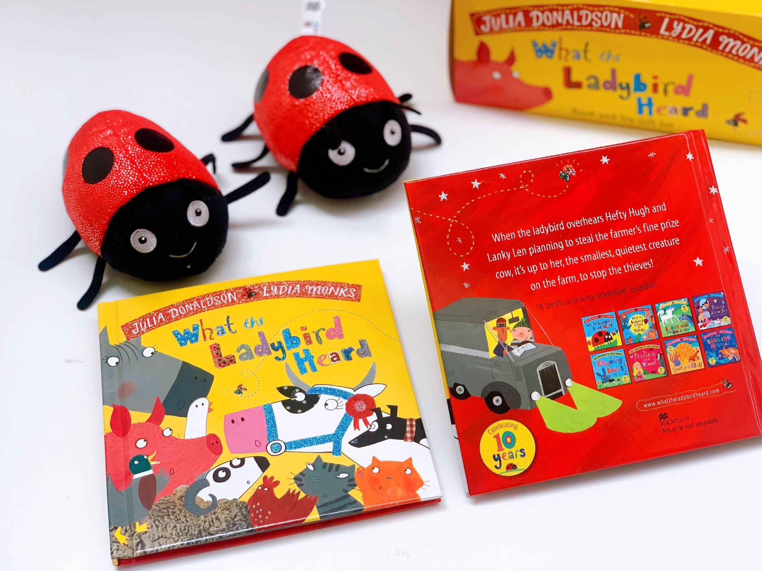 What the Ladybird Heard Book and Toy Gift Set
