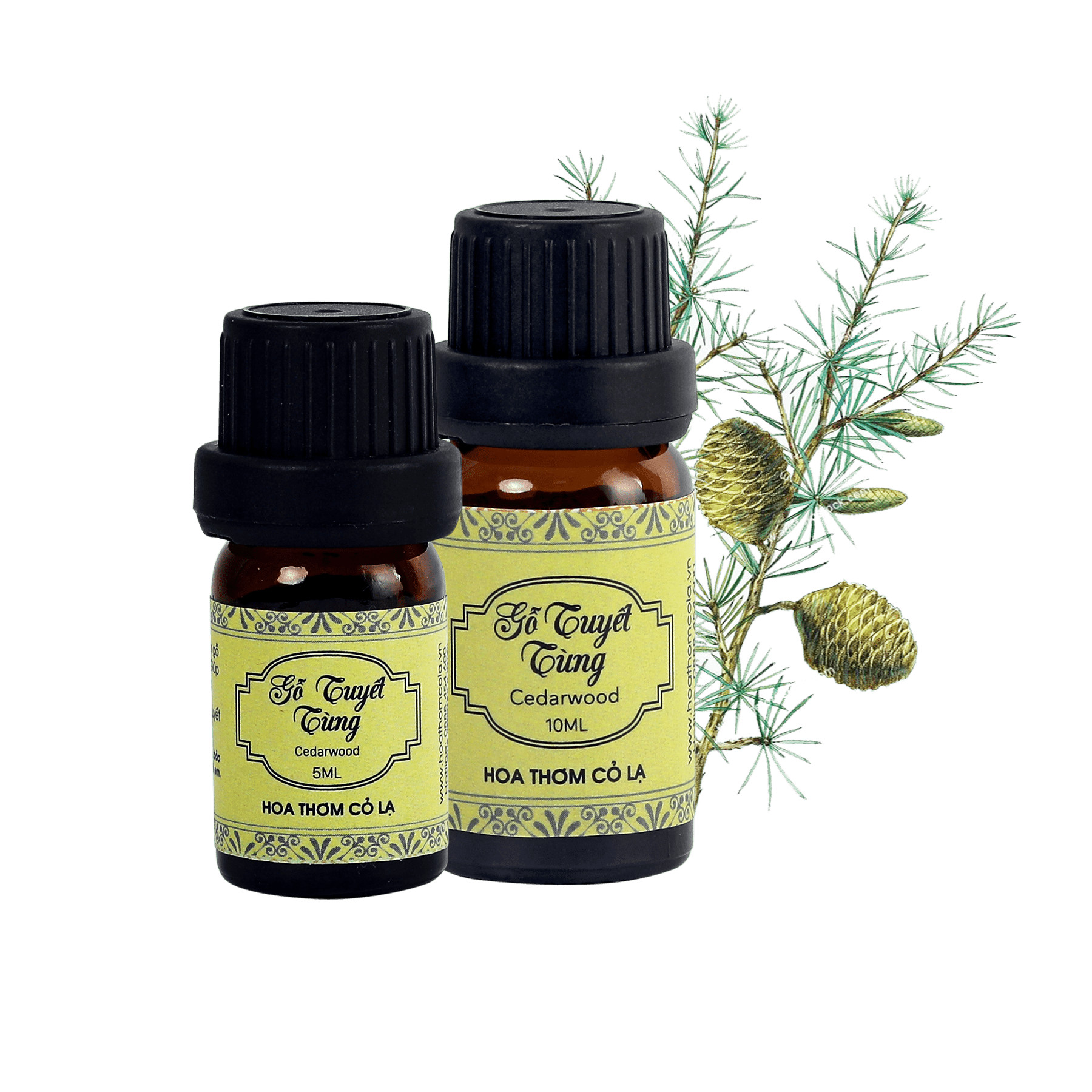 Tinh Dầu Gỗ Tuyết Tùng - Cedarwood Essential Oil 10ml - Hoa Thơm Cỏ Lạ