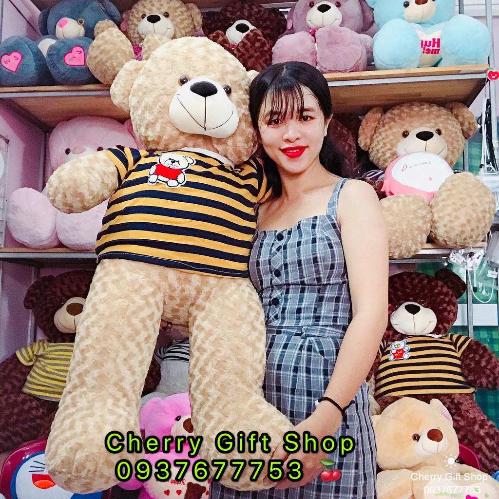 Gấu Bông Teddy Áo Xọc Giá Sốc 1m1 Ảnh Shop Chụp