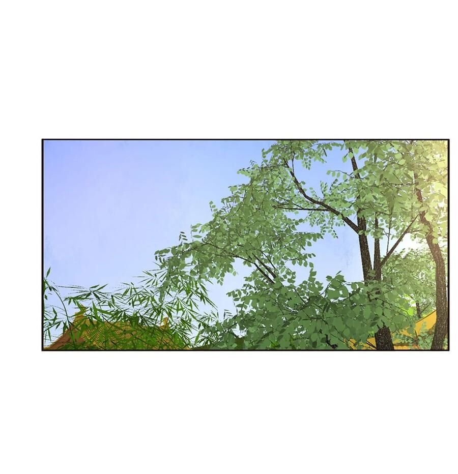 thông linh phi chapter 616 11