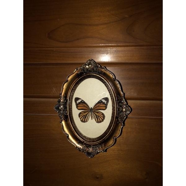 Khung bướm giả cổ vintage