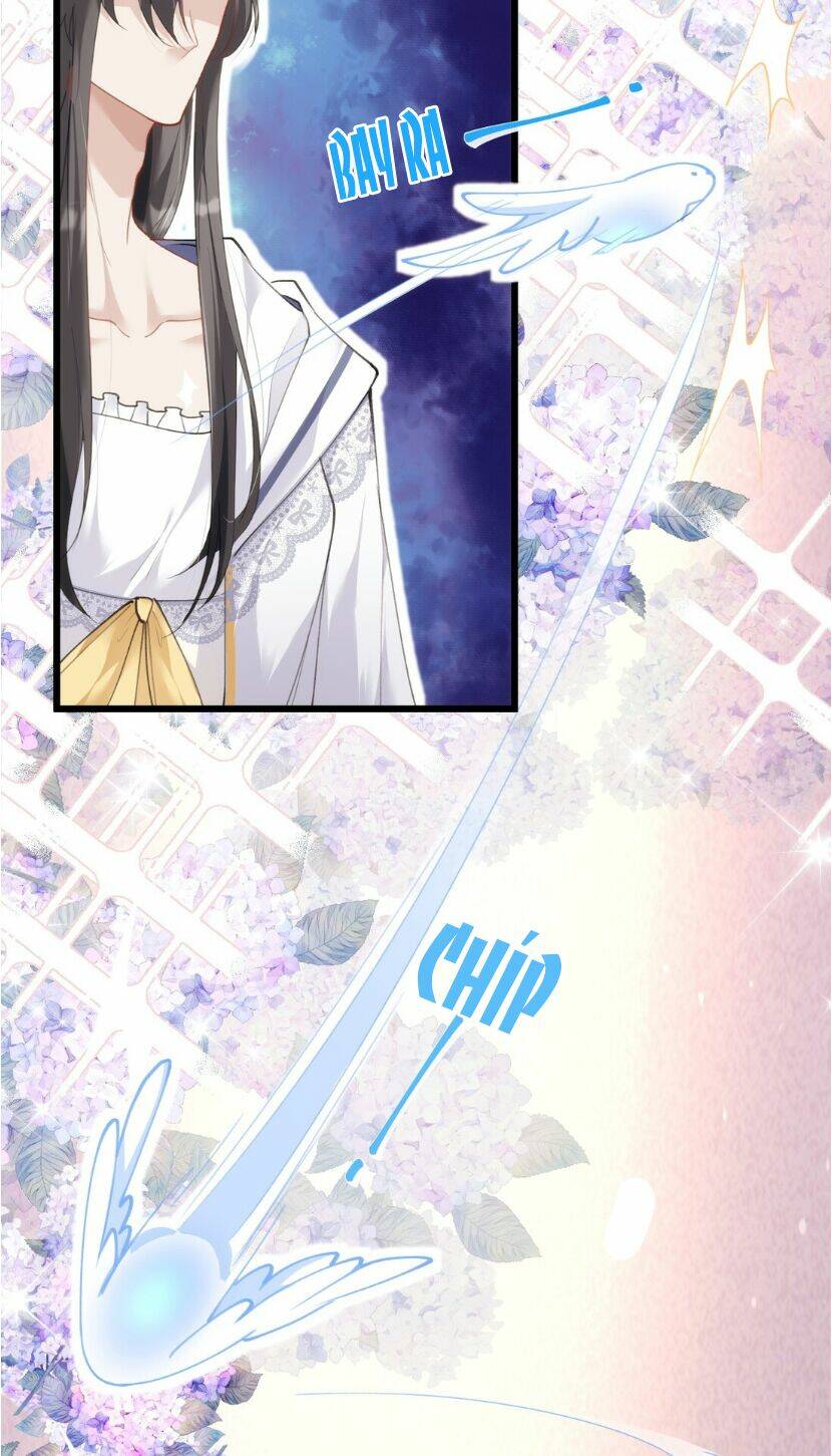 dù là sói cô độc cũng có tình yêu của sẻ nhỏ chapter 27 2