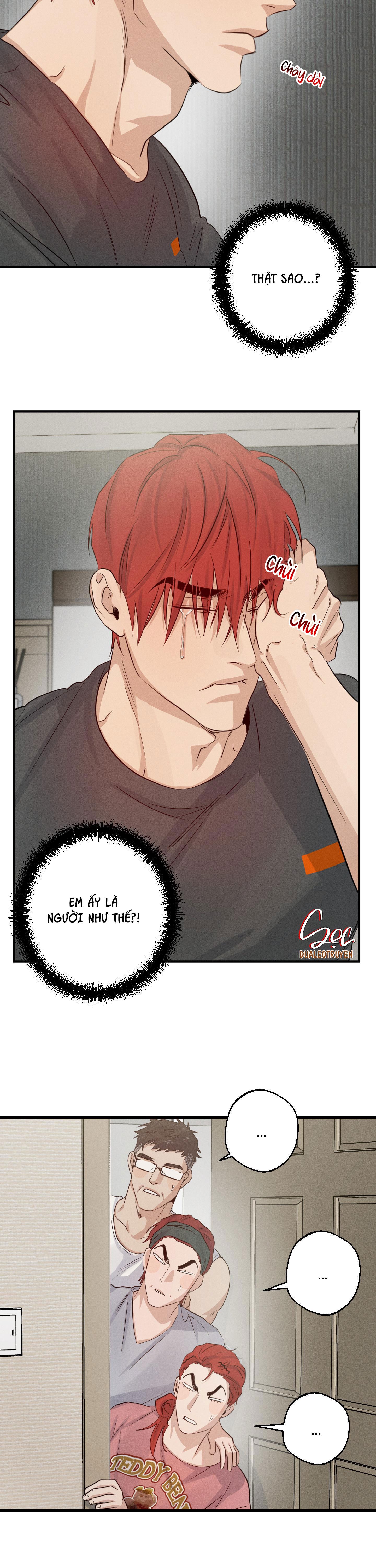 high clear chapter 31 24