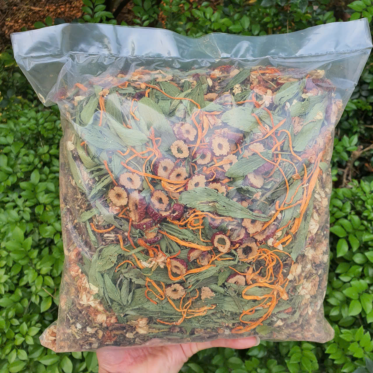 Túi 1kG-Trà Sơn Mật Hồng Sâm Đông Trùng Táo Đỏ bổ thận mát gan đẹp da hỗ trợ giảm cân an thần dễ ngủ